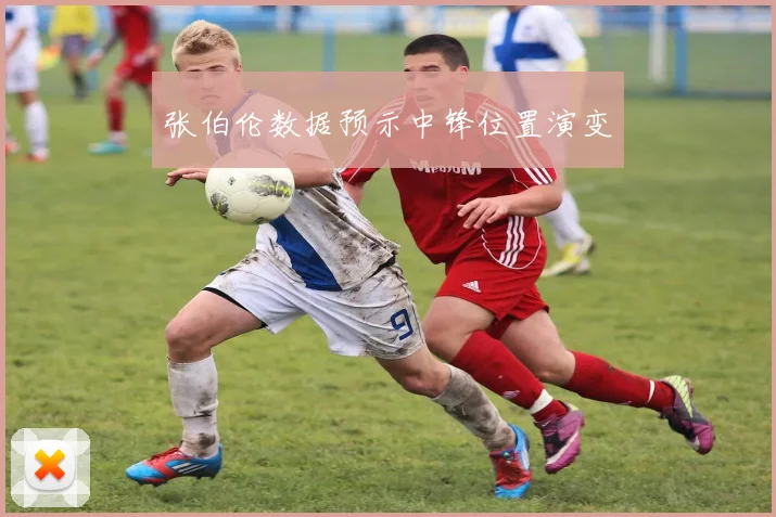 张伯伦数据预示中锋位置演变