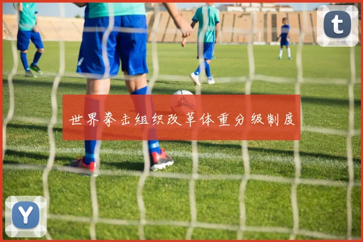 世界拳击组织改革体重分级制度