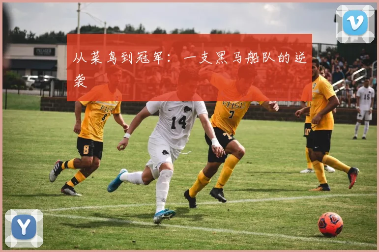 从菜鸟到冠军：一支黑马船队的逆袭