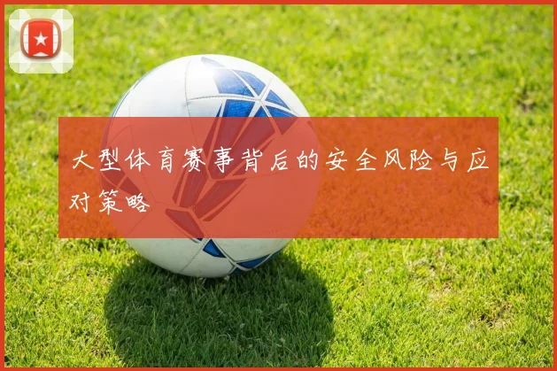 大型体育赛事背后的安全风险与应对策略